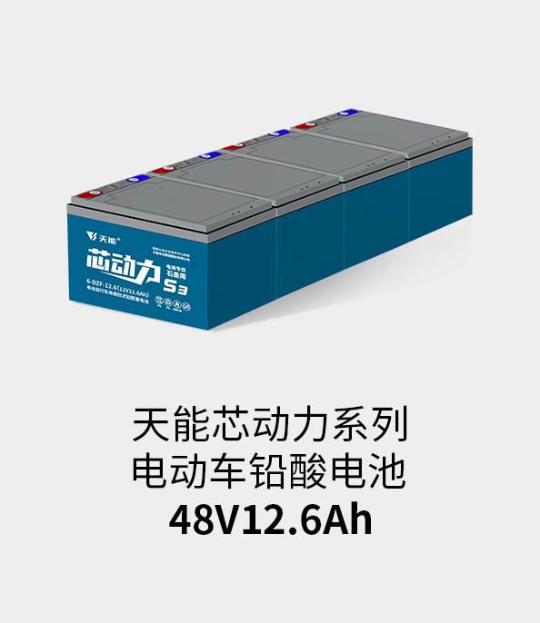 壹号娱乐官网电池48v12ah