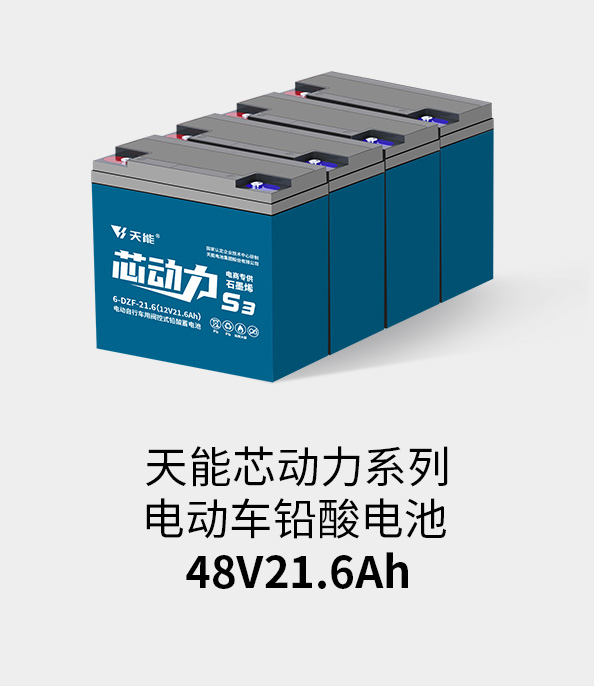 壹号娱乐官网电池48v20ah