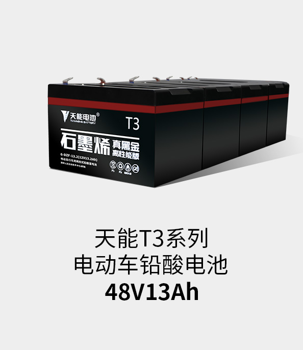 壹号娱乐官网T3系列48v13ah