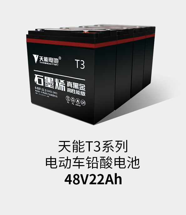 壹号娱乐官网T3系列48v22ah
